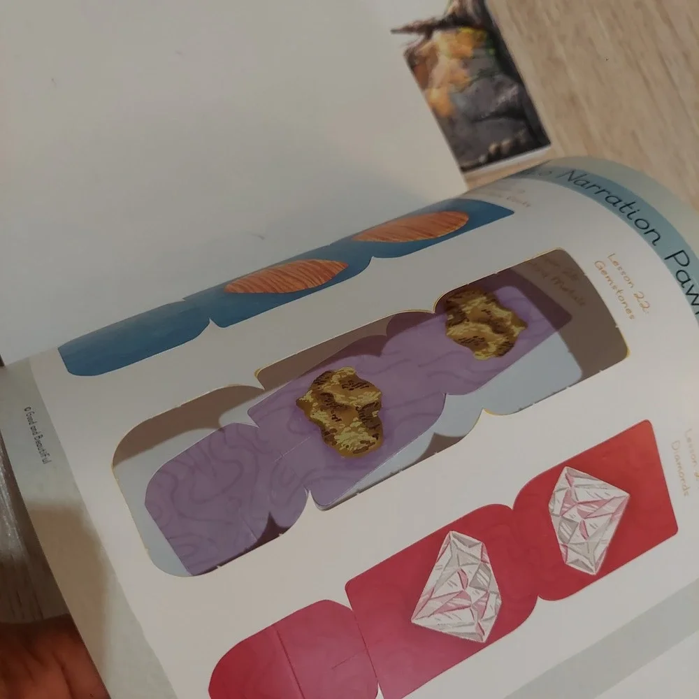 The Good And The Beautiful Science Bones And Stones Set Parent Guide Big Book